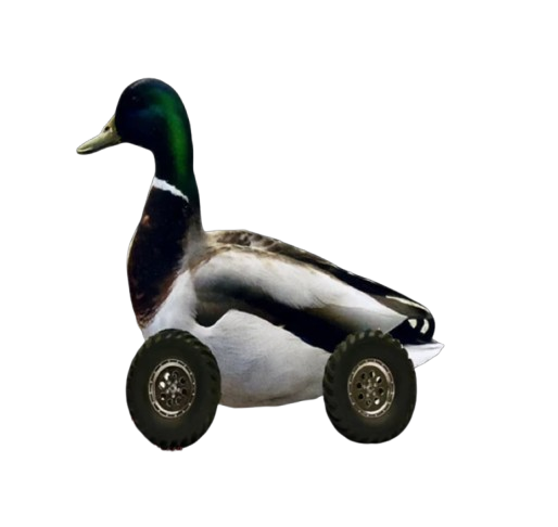 Duck on wheels